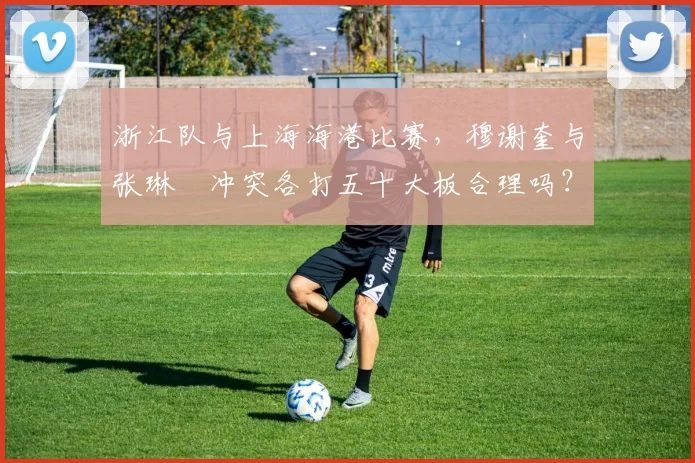 浙江队与上海海港比赛，穆谢奎与张琳芃冲突各打五十大板合理吗？